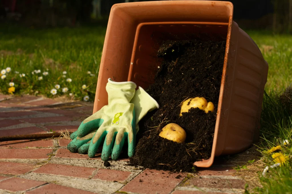 Compostaggio domestico 02